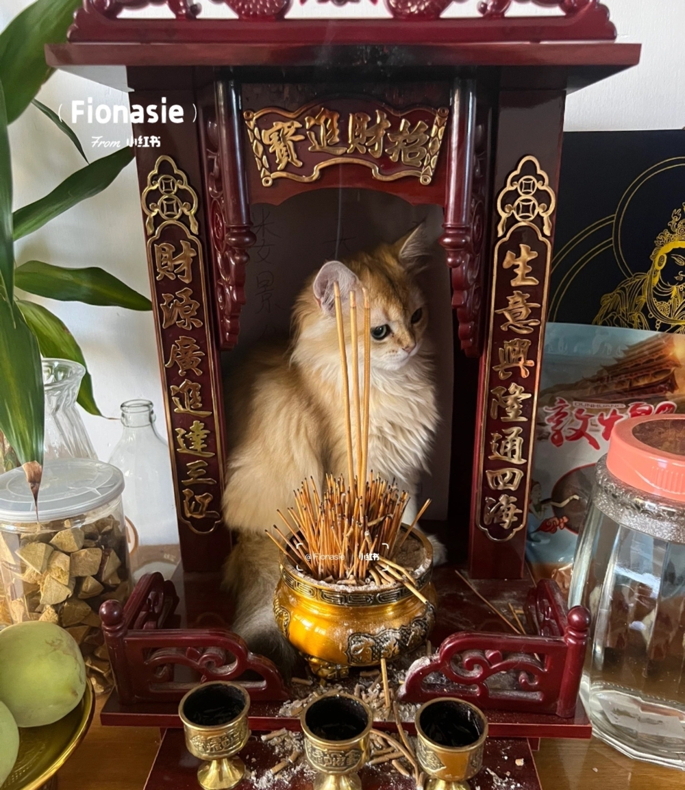 奴才：你這樣有點不尊重財神爺囉