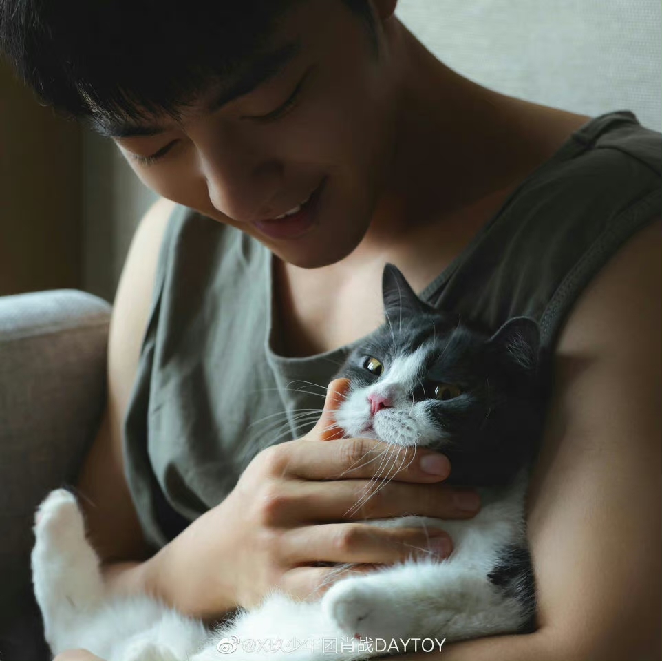 肖戰與「堅果」