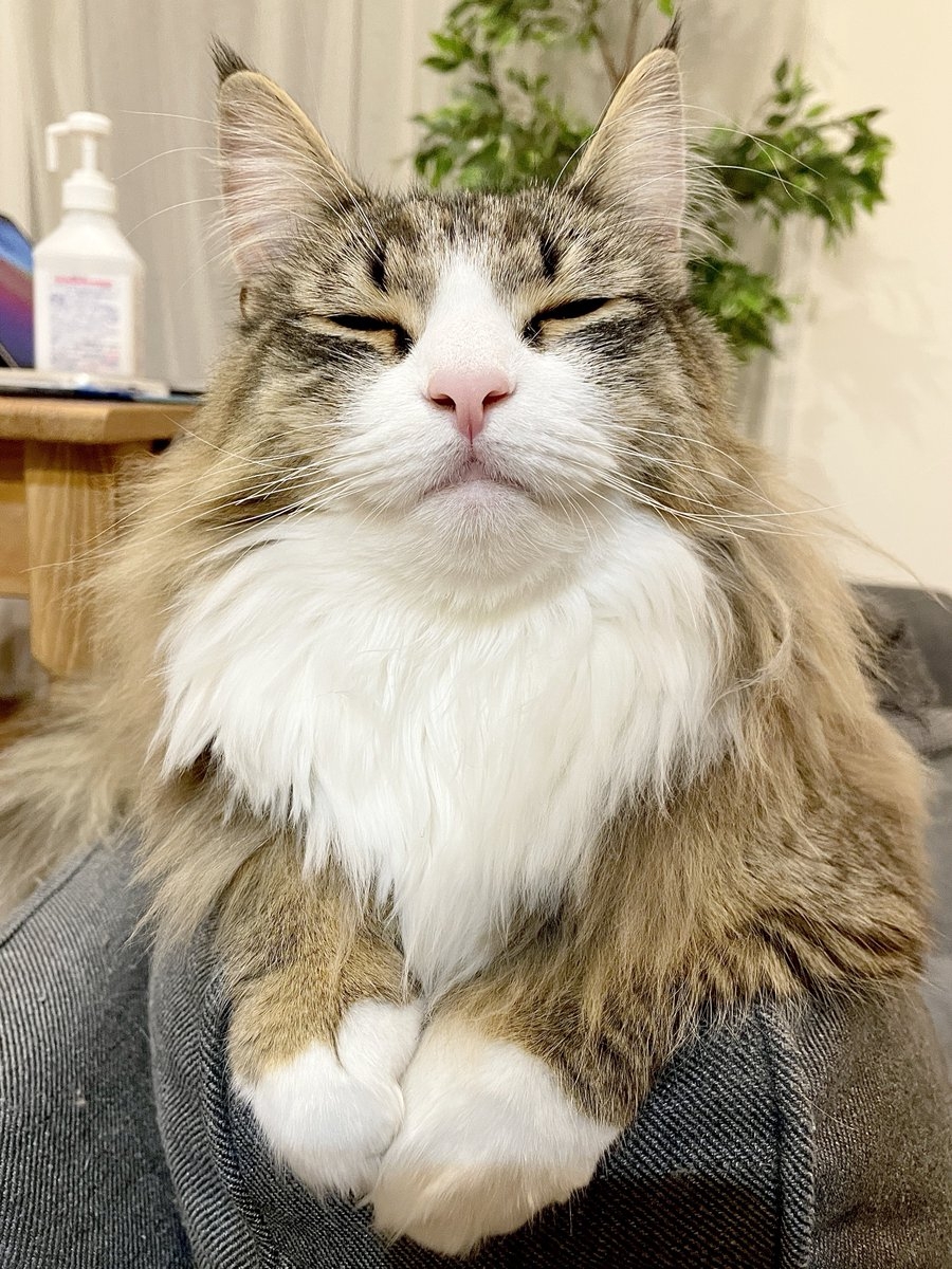 奴才：好啦～算你厲害囉