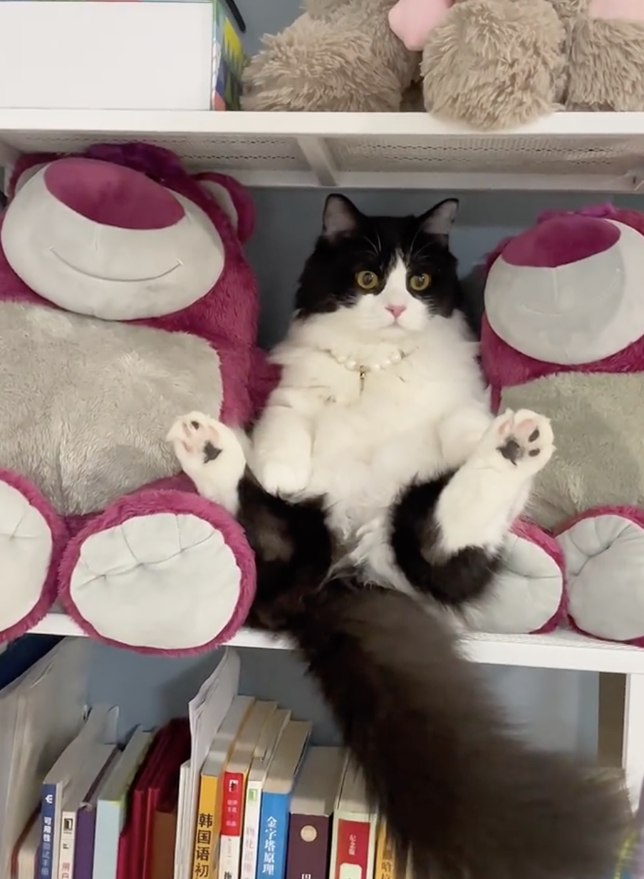 奴才：都說對不起了還想怎麼樣嘛