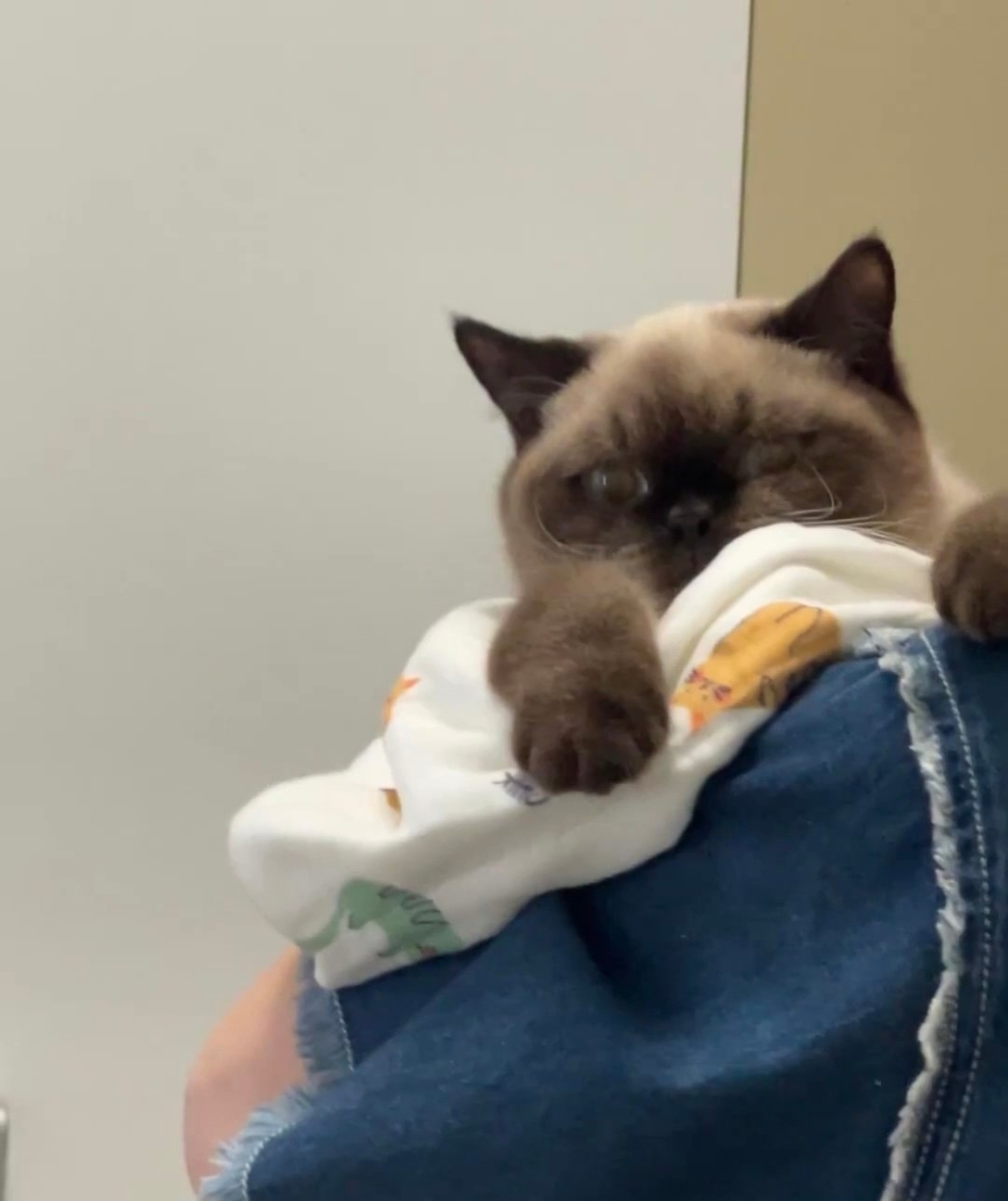 喵：那你就再哄哄嘛～