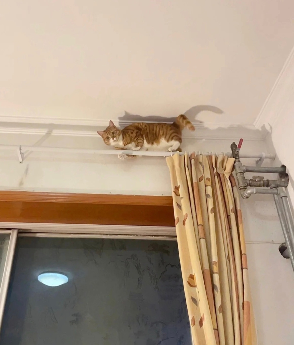 奴才：你最好還是快點下來喔！ 