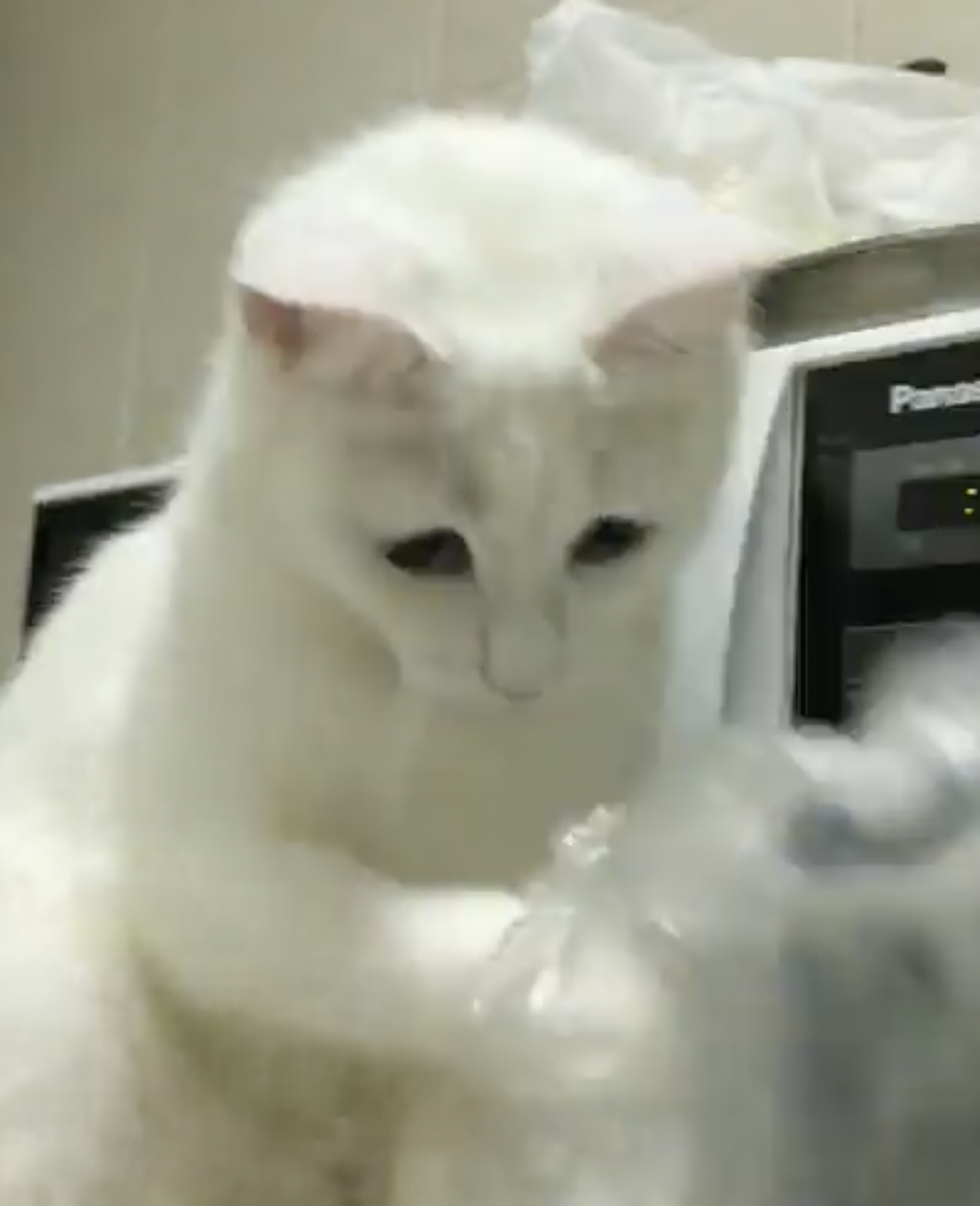 奴才：別！還真的是帥不過一秒啊