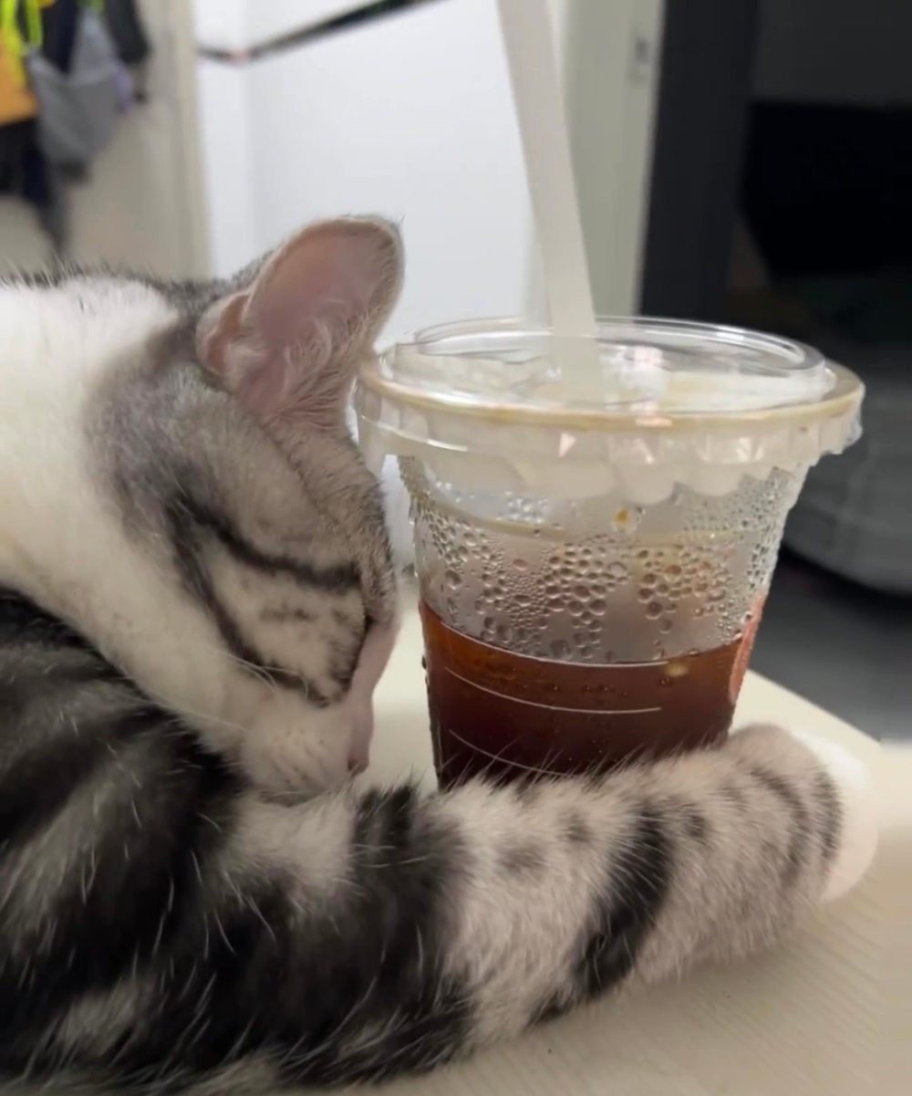 奴才：睏了就繼續睡吧～