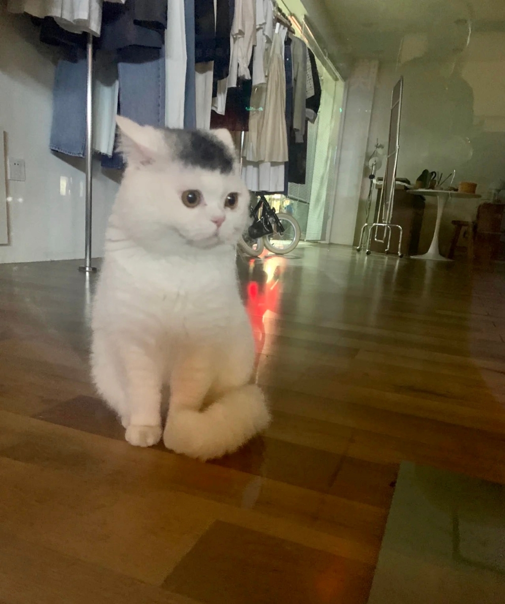 奴才：你才剛上班欸～ 