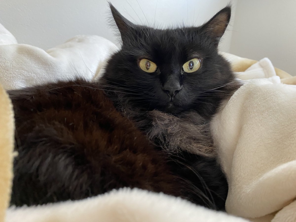 奴才:原諒你吧~我也是應該檢討一下自己啦