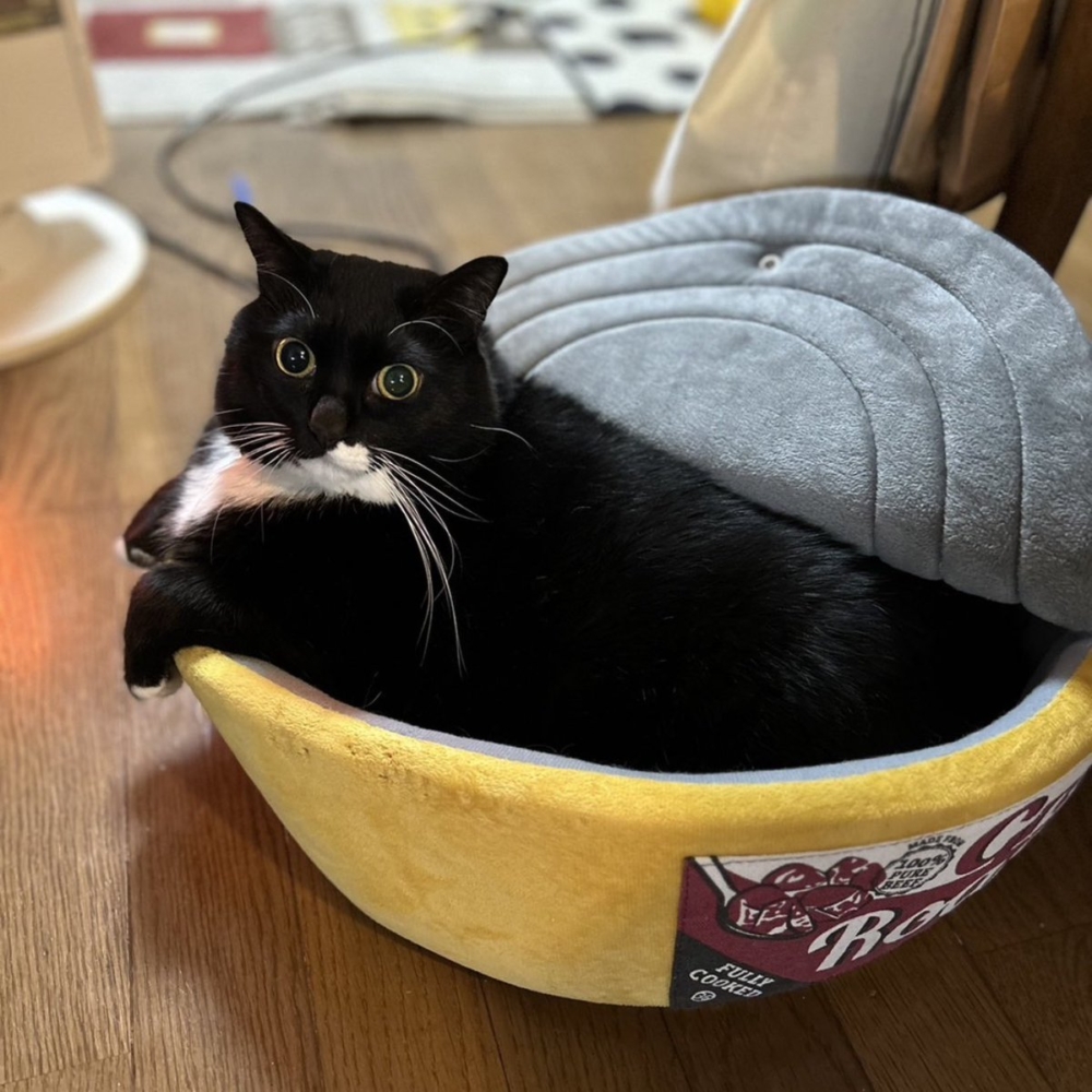 奴才：你好像每天都想休息囉！