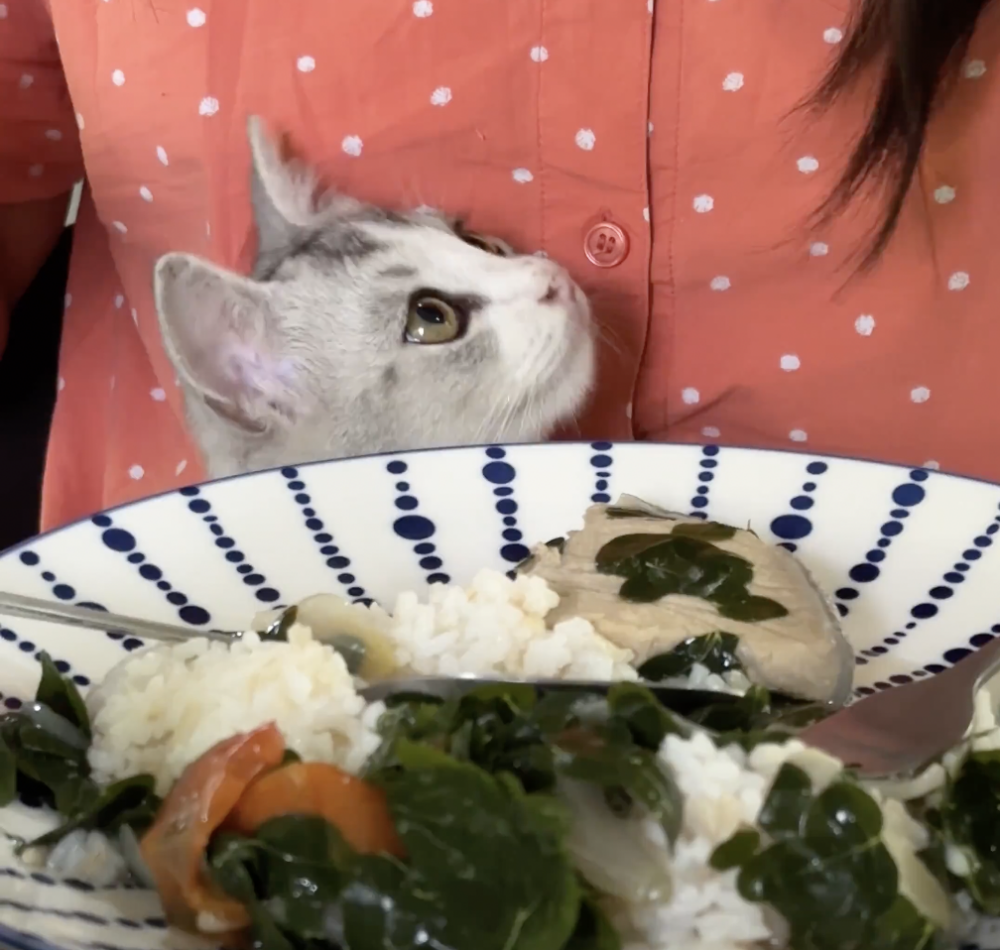 奴才：你不是才剛吃飽嗎？