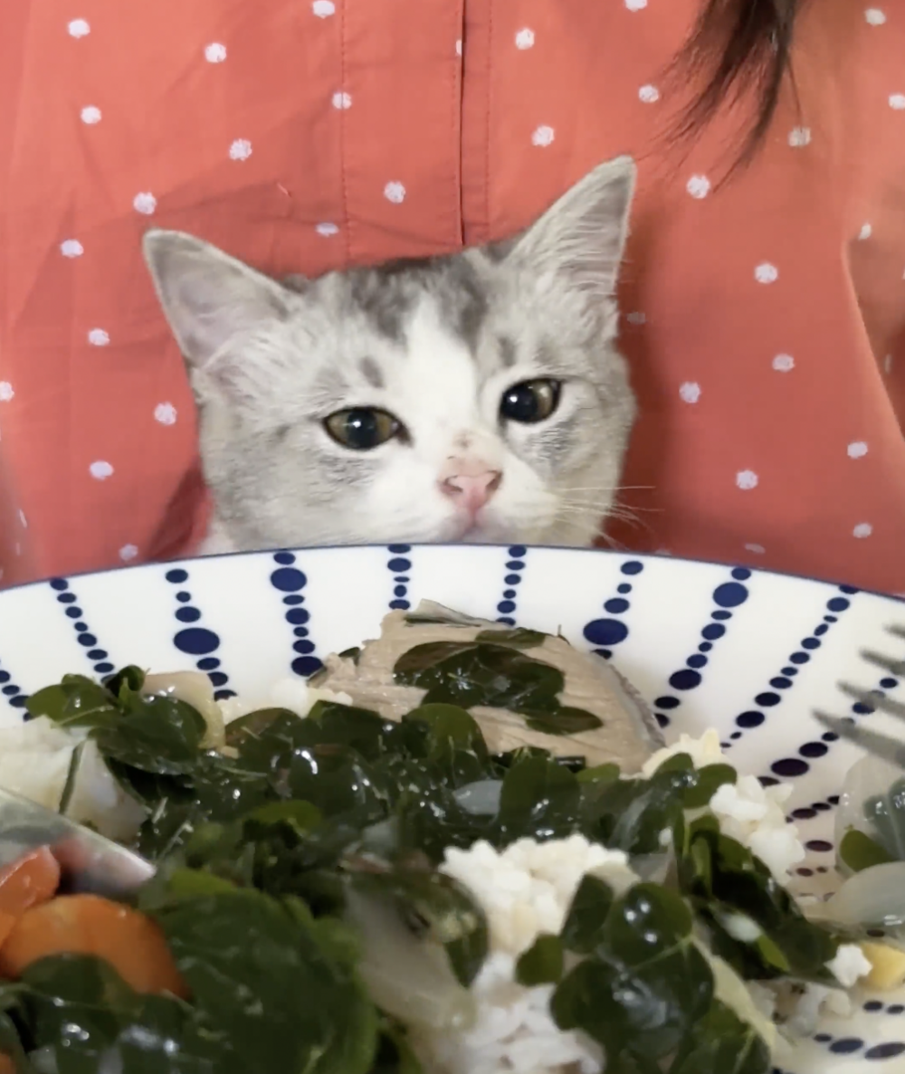 奴才：你就來陪陪我不行嗎