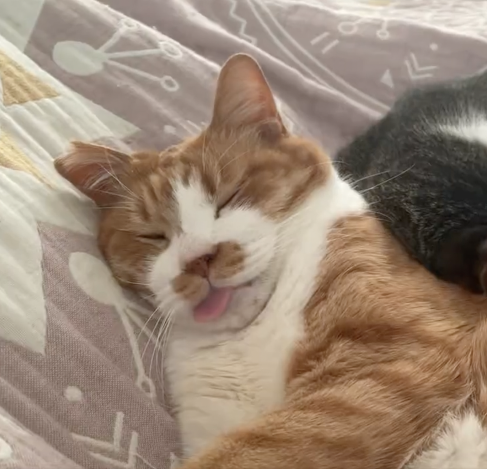 奴才：你會不會有點太誇張累啊