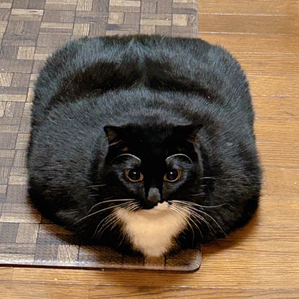 奴才：不會啦～我還是看得出差別的囉