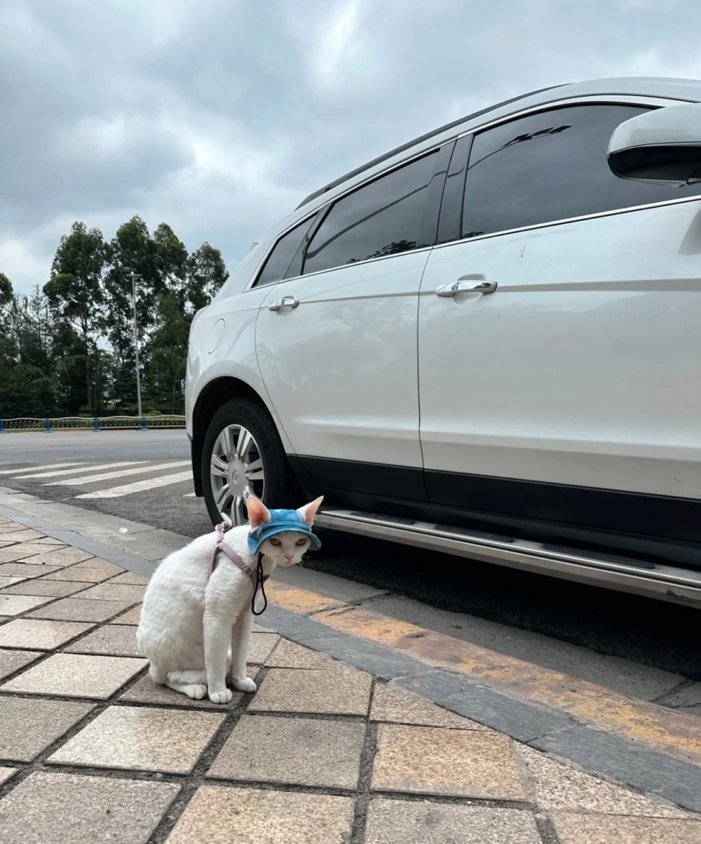 奴才：你還不情願喔