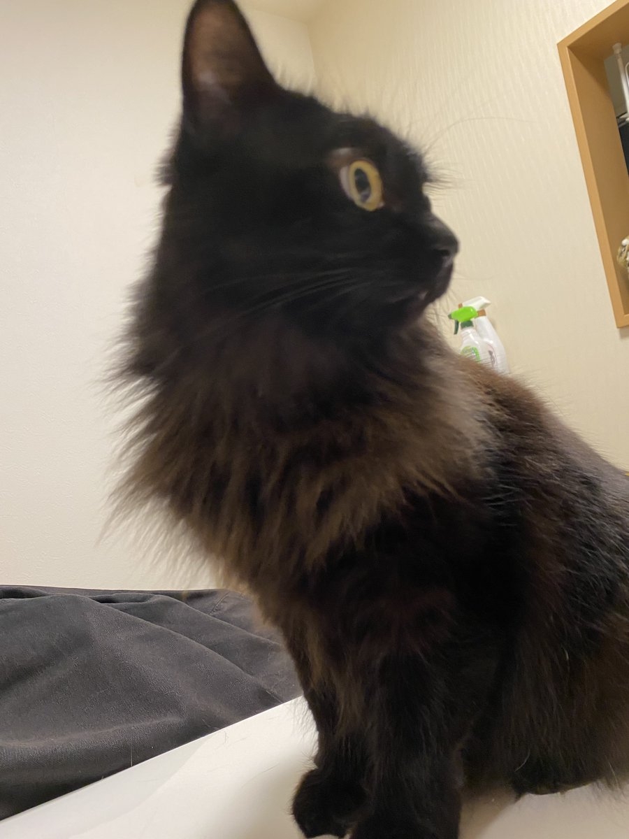 奴才:那個,我也不想擁有這項技能啦