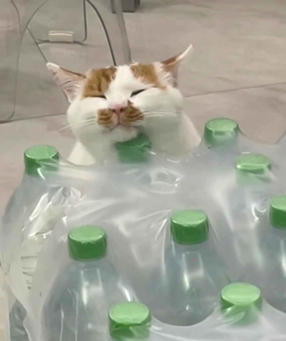 奴才：我還沒有要打開啦