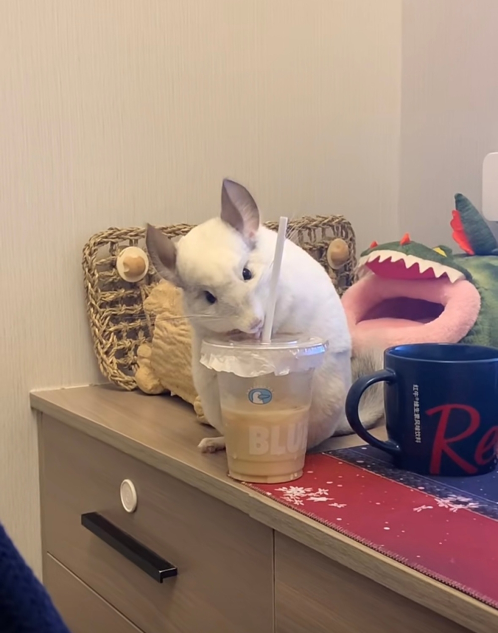 奴才：那就看你的本事了