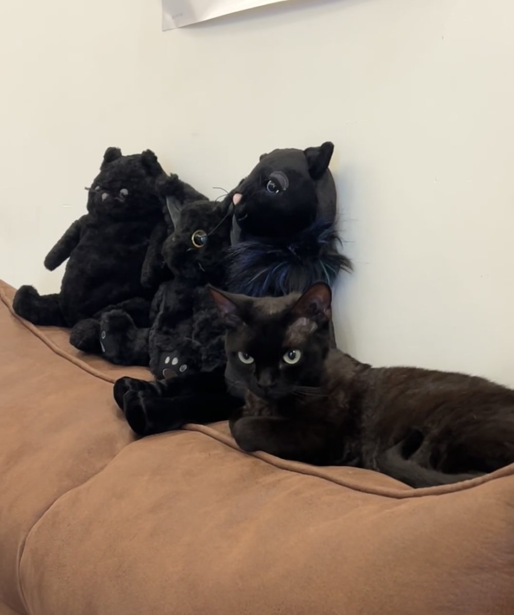 奴才：你最漂亮了，當然可以看到你啦