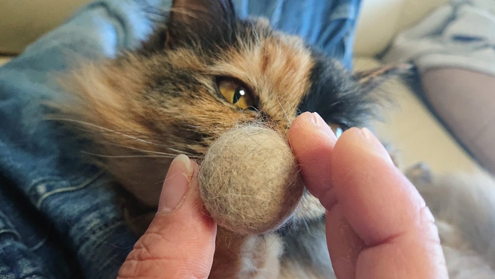 奴才:我可是付出了很多時間捏