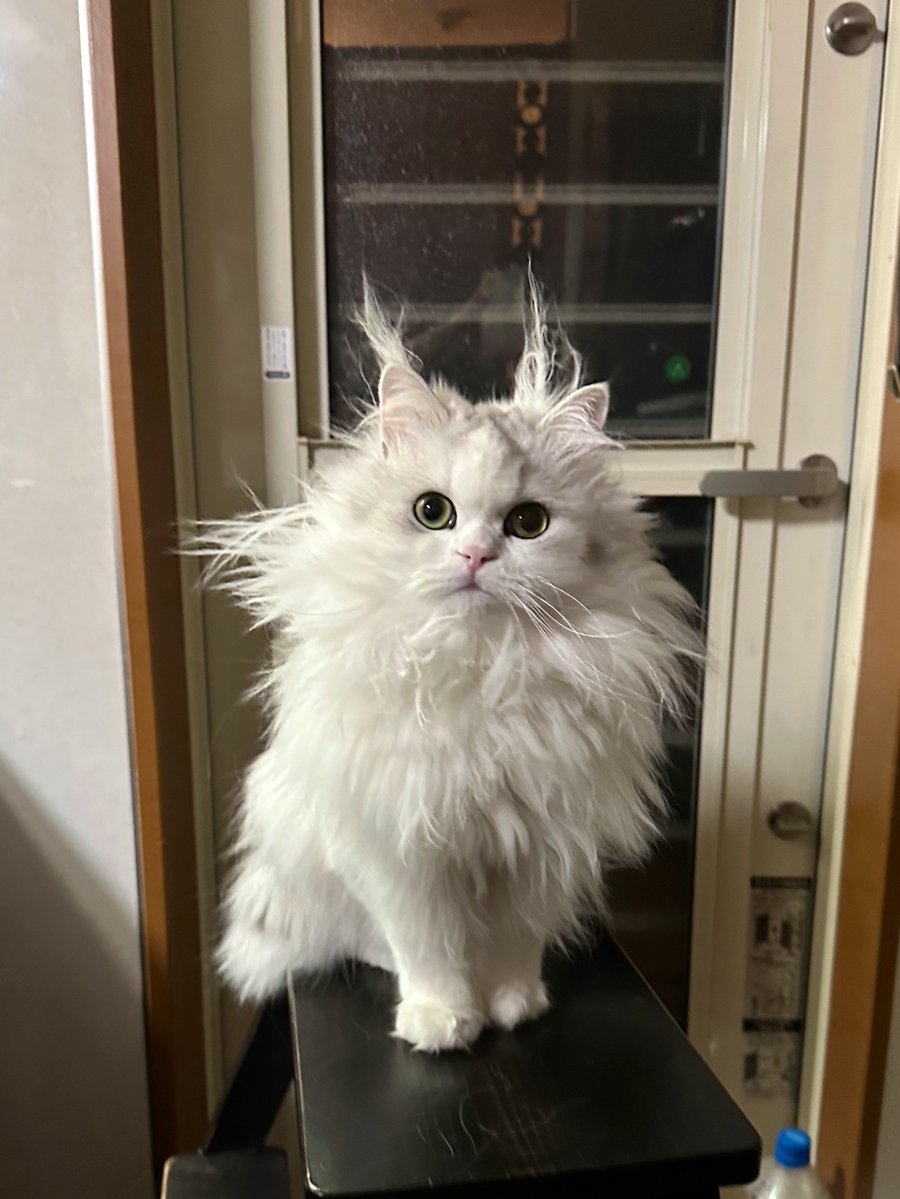 奴才：顏值絲毫沒有被影響欸