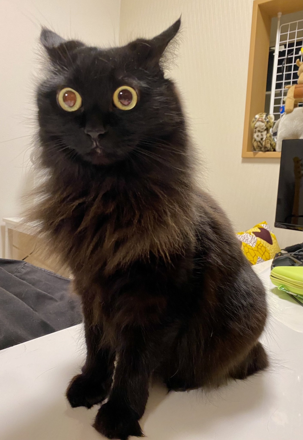 奴才:哎呀~你別那麼誇張啊