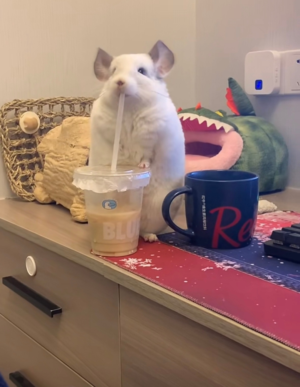 奴才：你不行喝喔