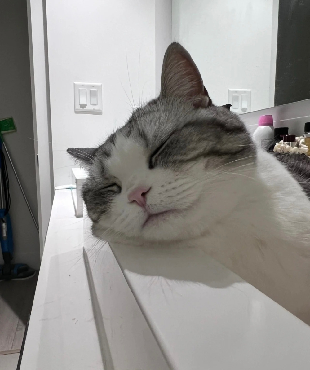 奴才：什麼！你承認囉