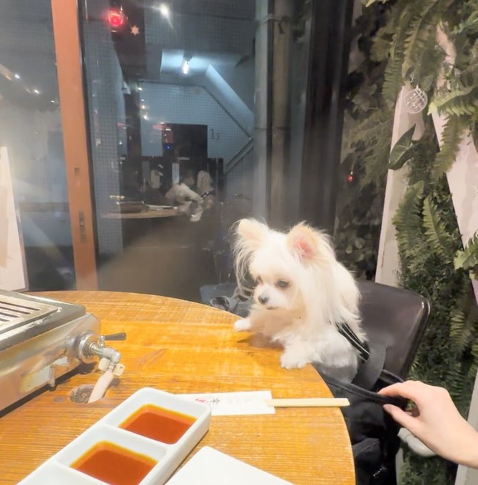 奴才：燒烤的精髓就是要等喔～