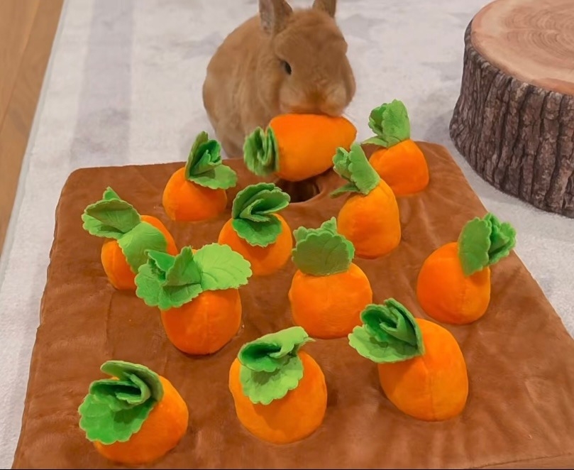 奴才：好厲害呀