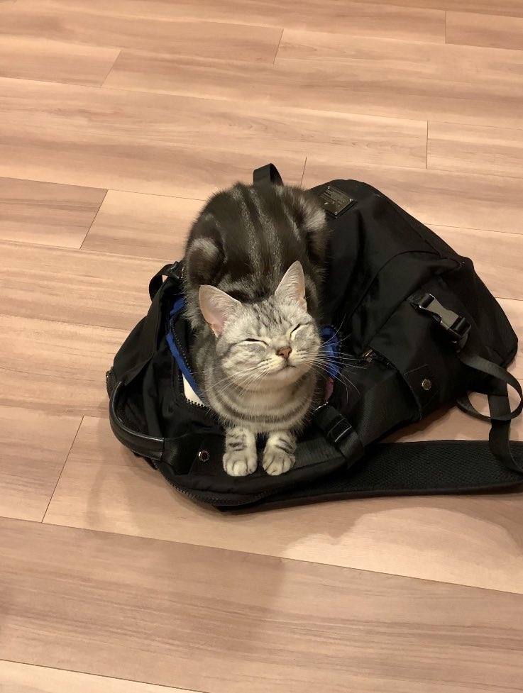 奴才：不行啦！