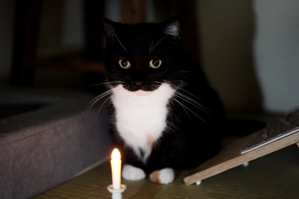 奴才：好啦～開個玩笑而已