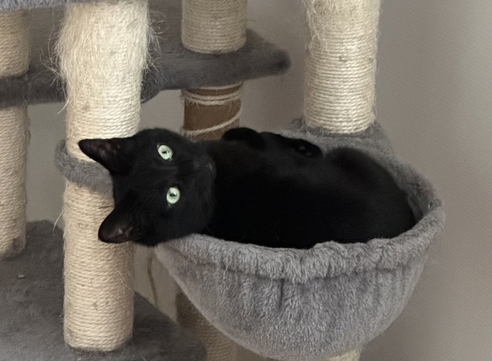 奴才：額...還真是出乎意料呢～