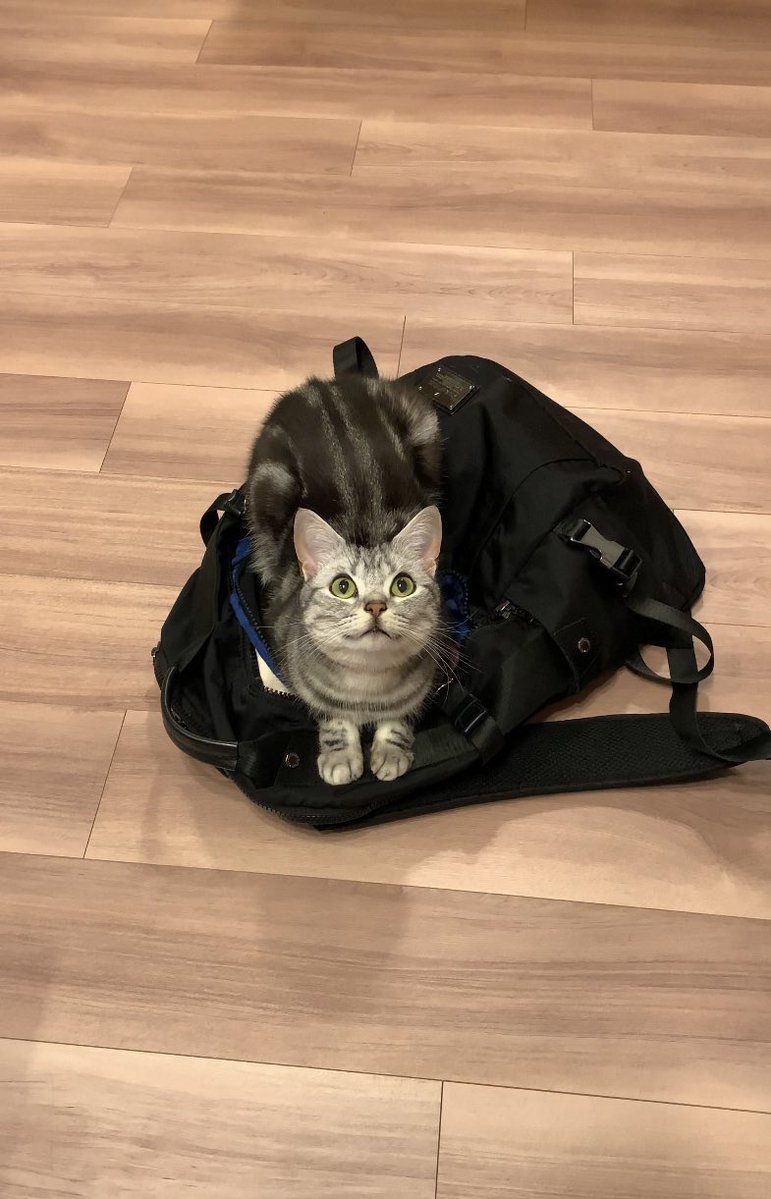 奴才：不賺錢拿什麼養你喔～