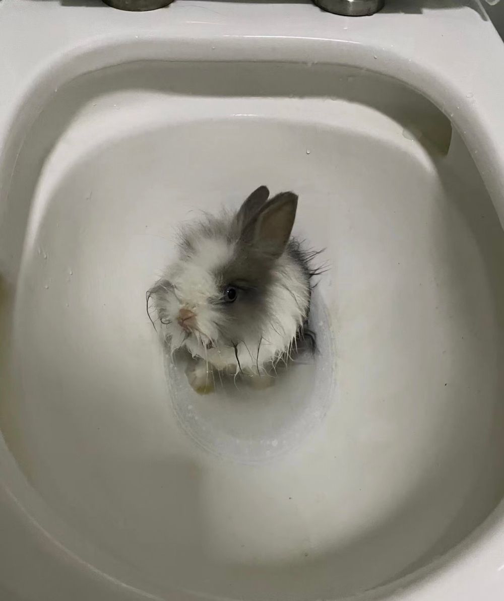 奴才:會越泡越臭囉