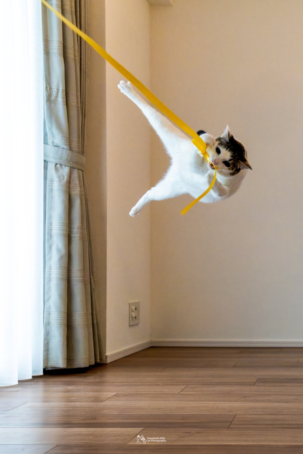 奴才：絲毫沒有一點猶豫嗎