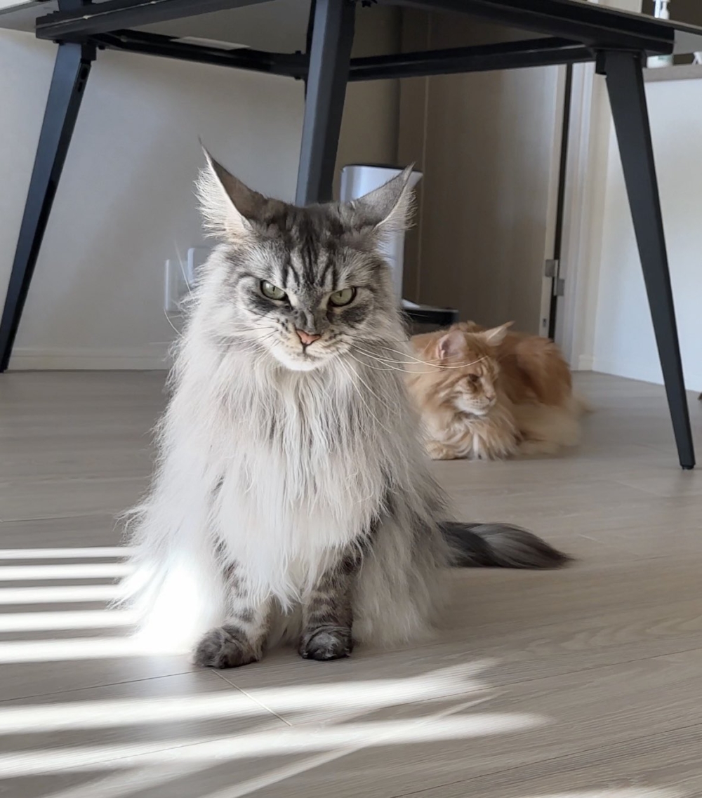 奴才：你又有一組新的表情包了欸