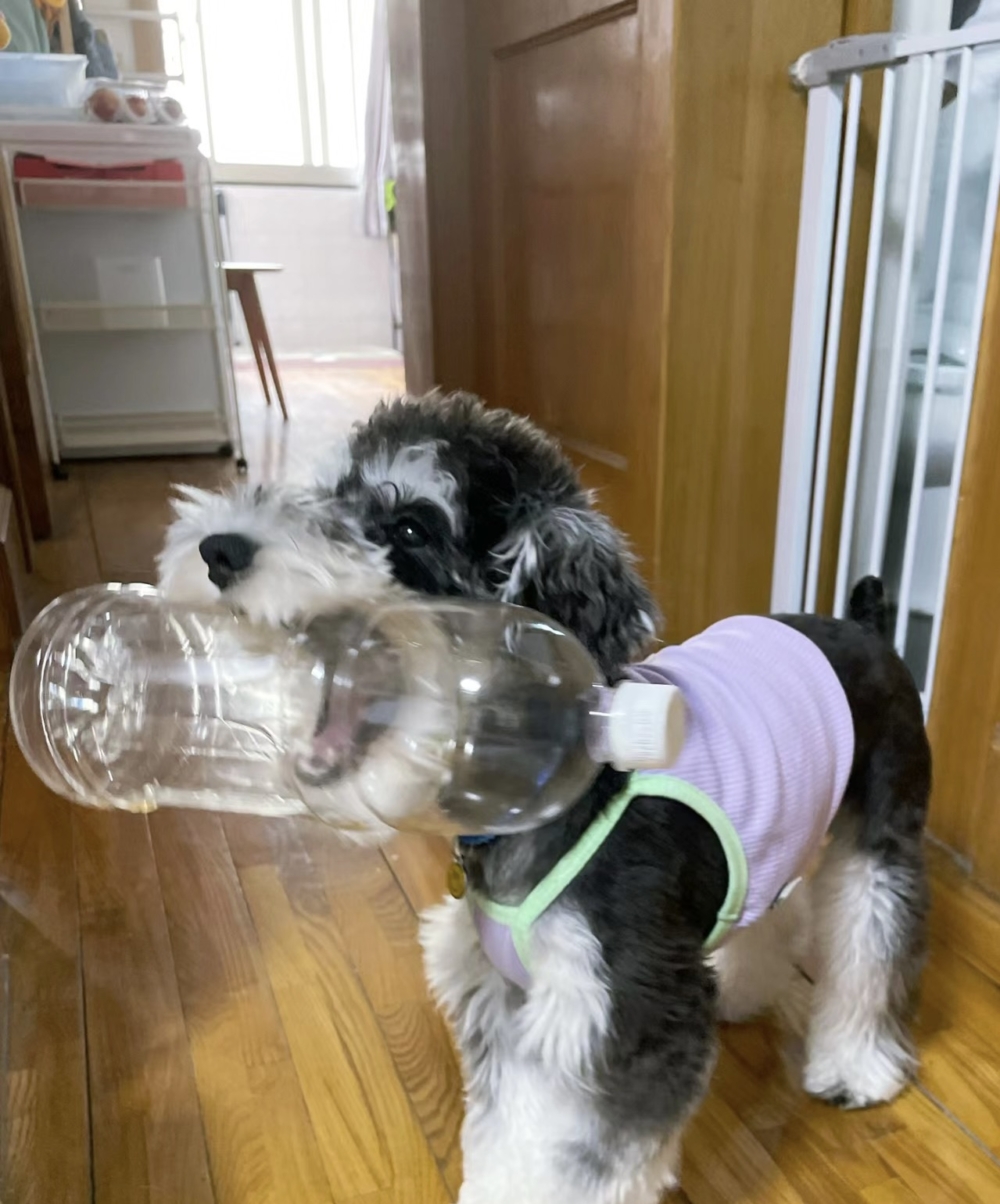 奴才：這是忠告啦