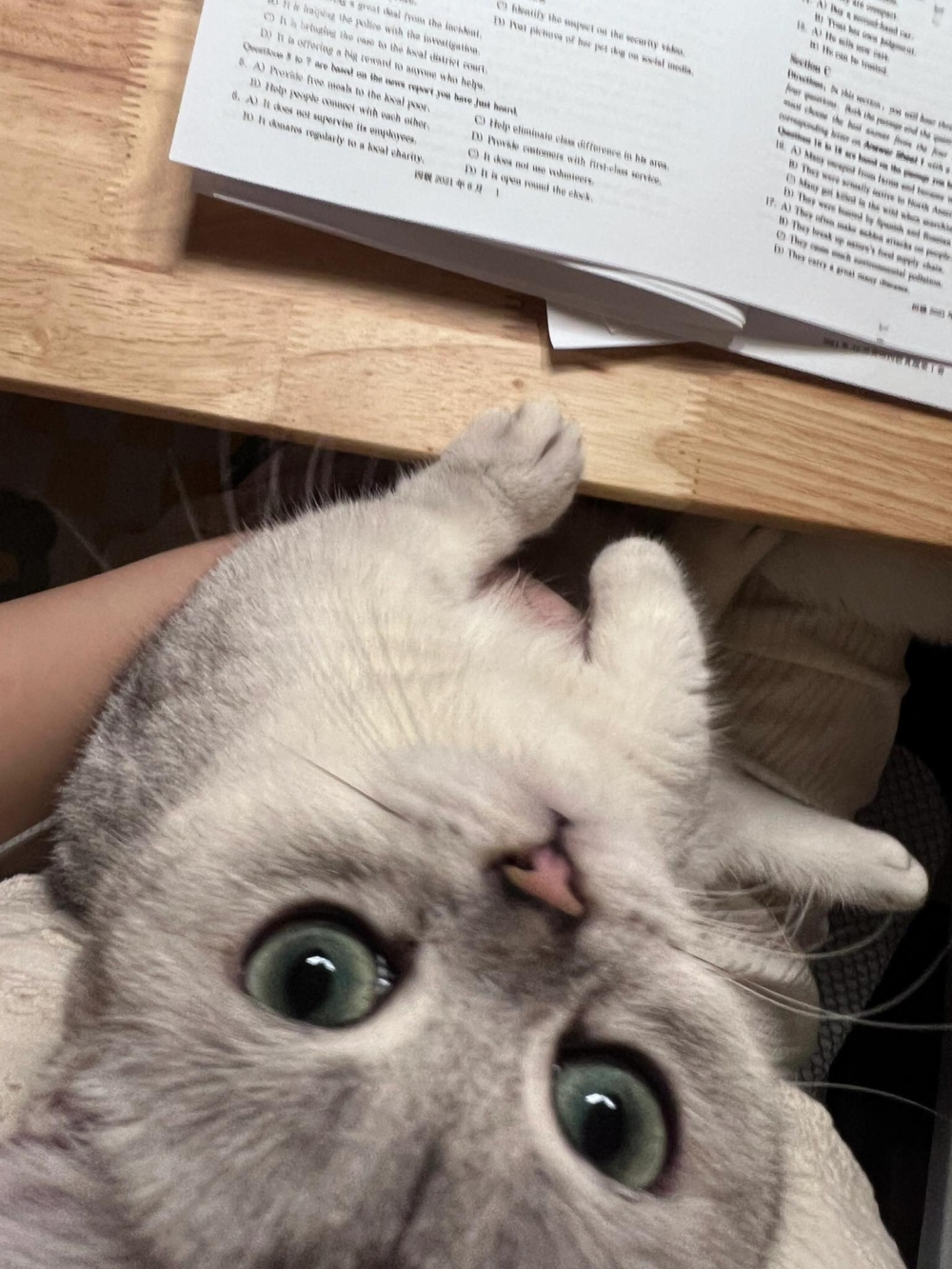 奴才：唉～是我想多了