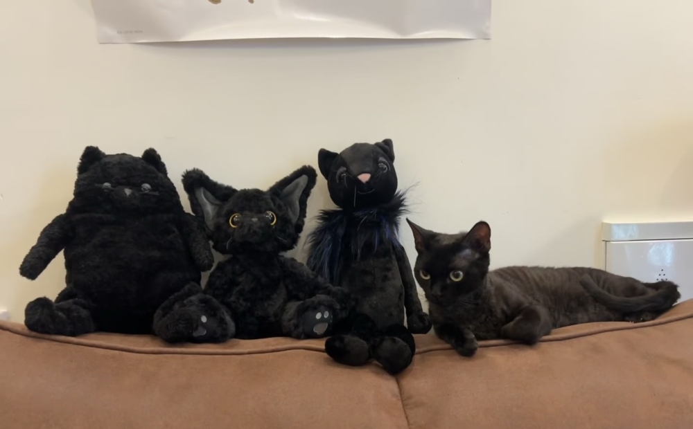 奴才：幹嘛問出那麼為難的問題喔