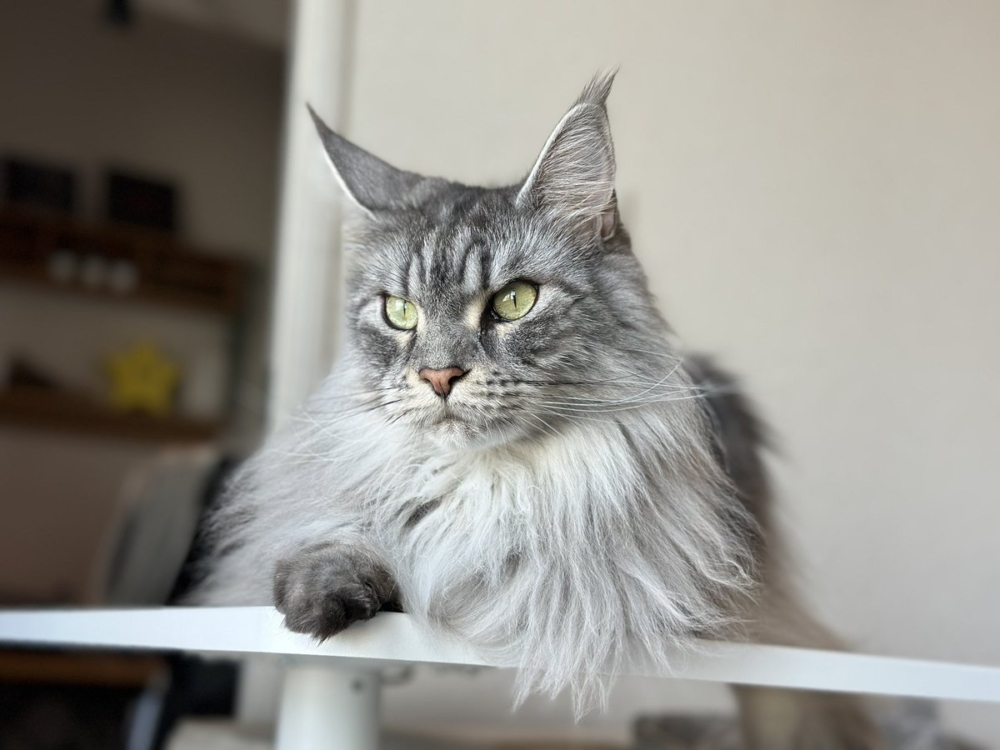 奴才：別怨念那麼重囉