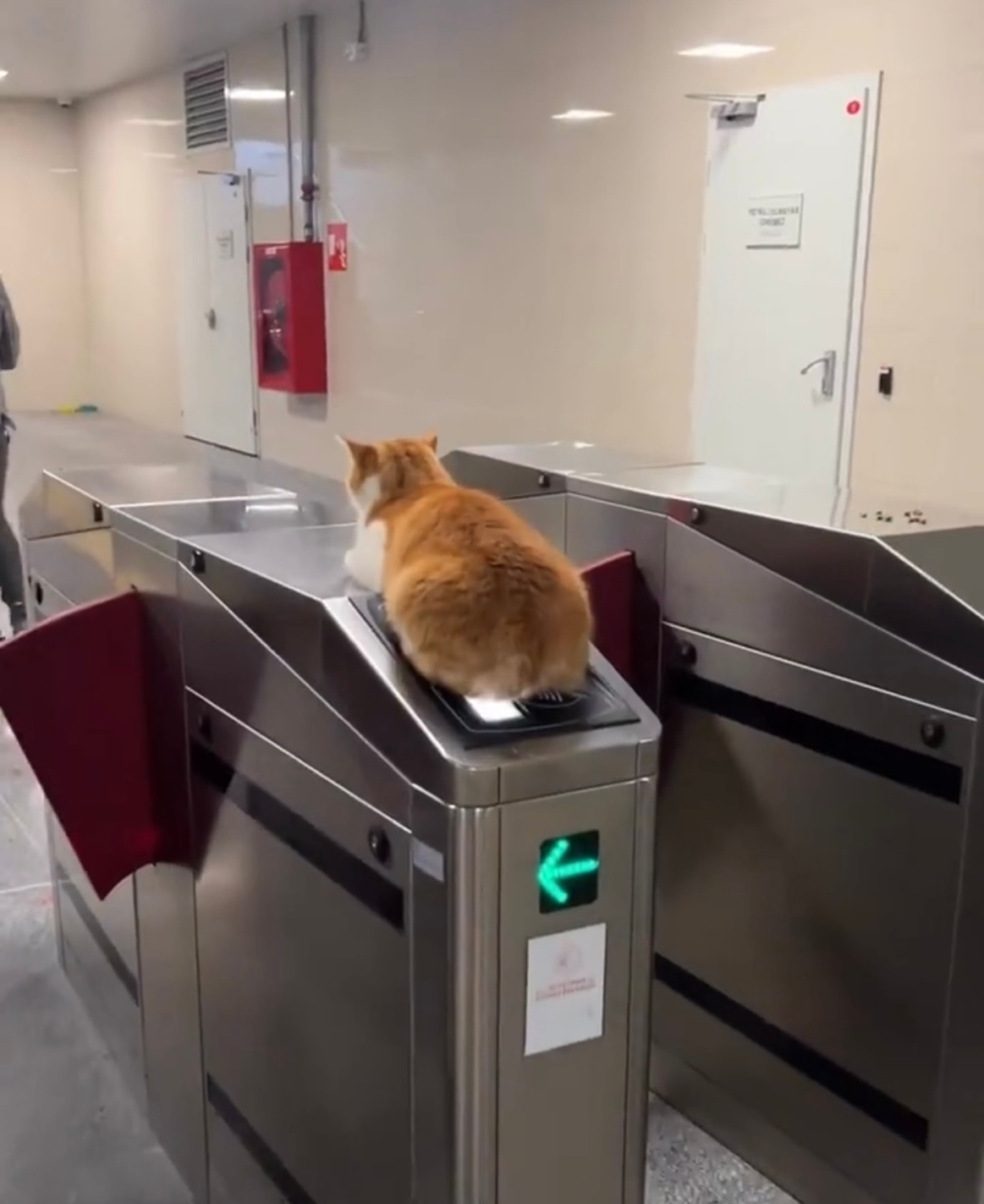 乘客：好喔～下回見啦