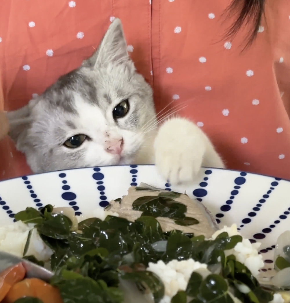 奴才：這個不是你能吃的