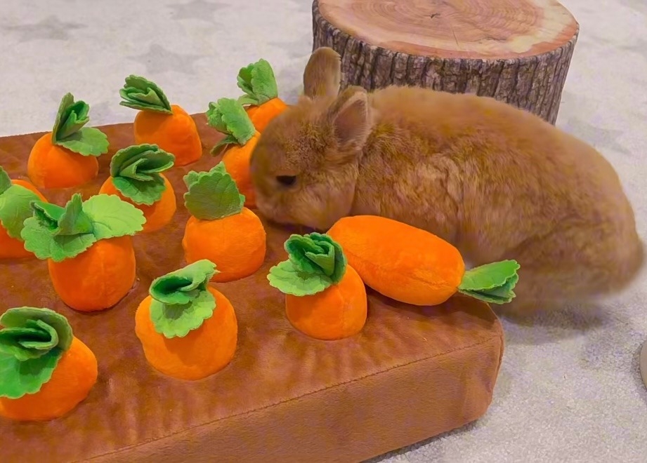 奴才：不行啦～這是玩具欸