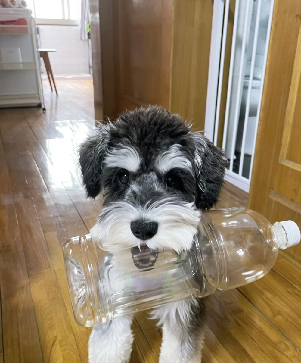 奴才：自己小心點就好