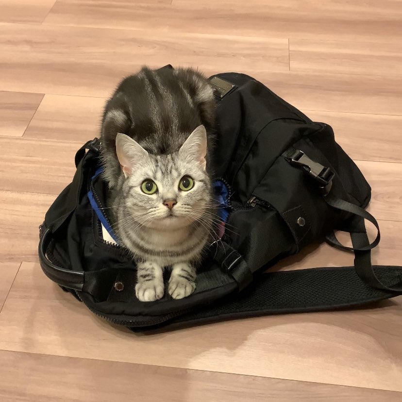 奴才：但是也要花錢買呀～