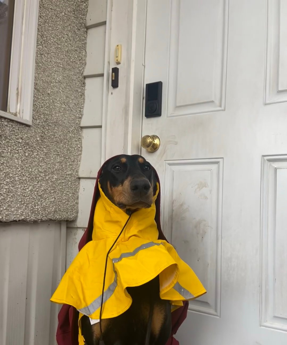 奴才：好噠～馬上到