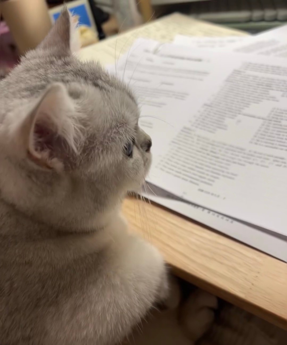 奴才：那我還能指望誰啊～