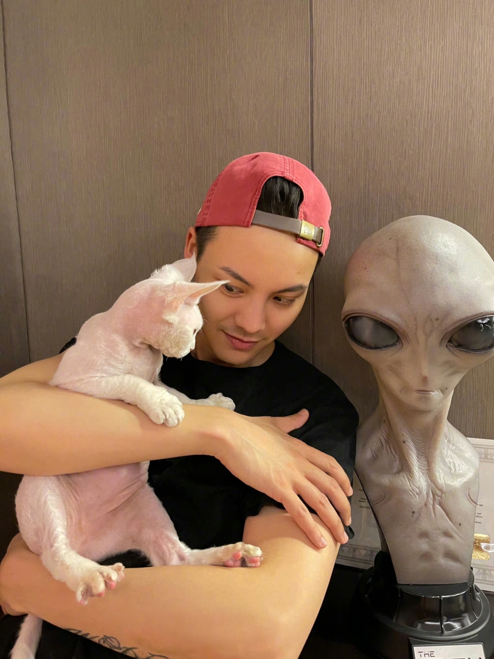 陳偉霆與「陳小鐵」