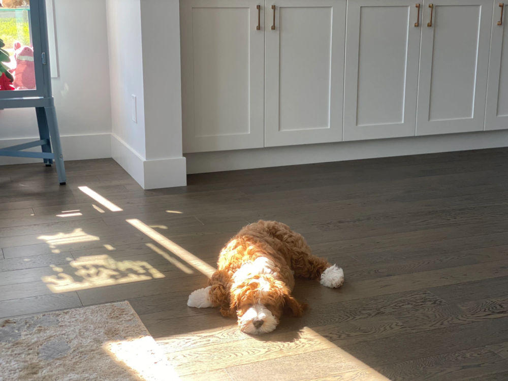 奴才：這還真是事實啊～