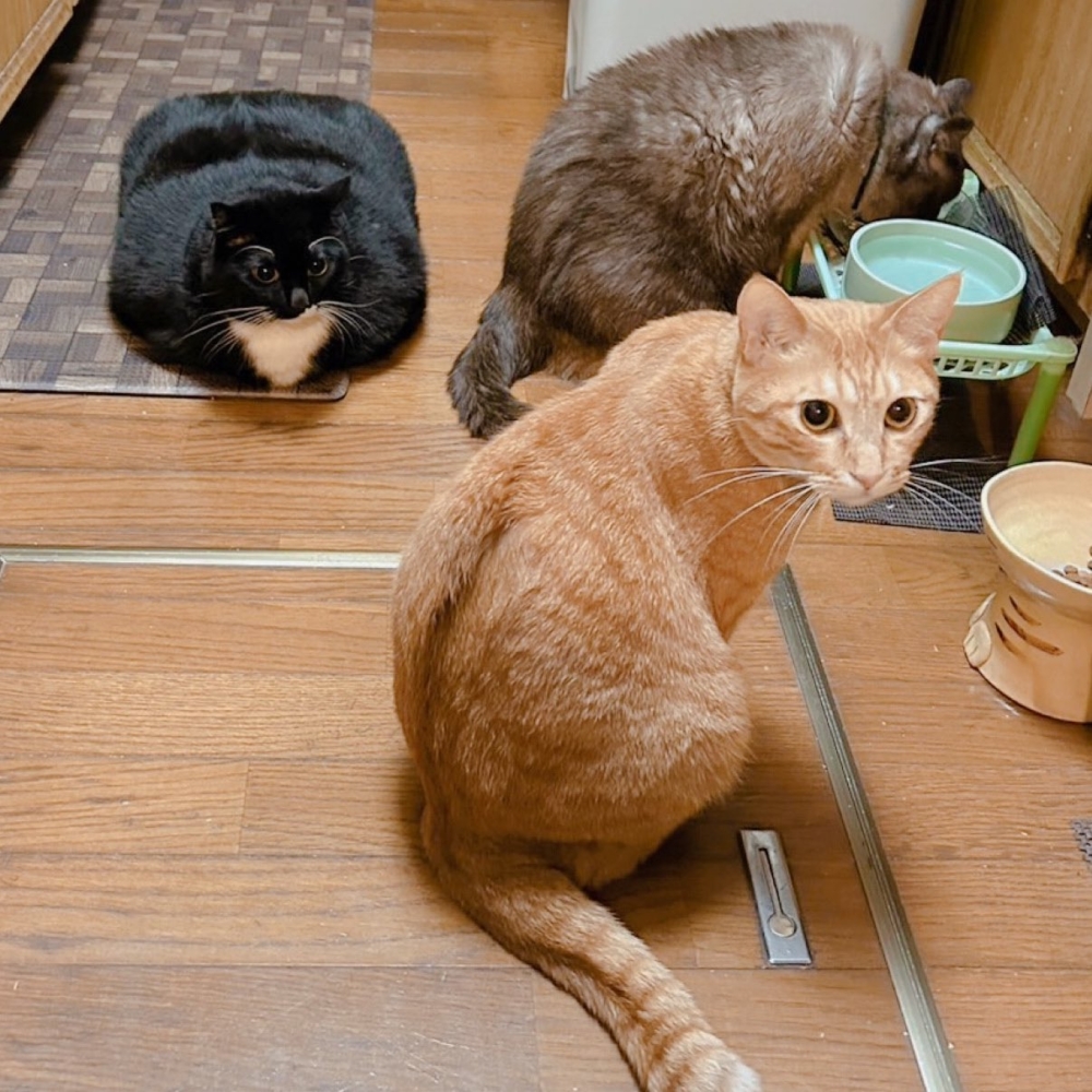 奴才：真會抬高自己啊