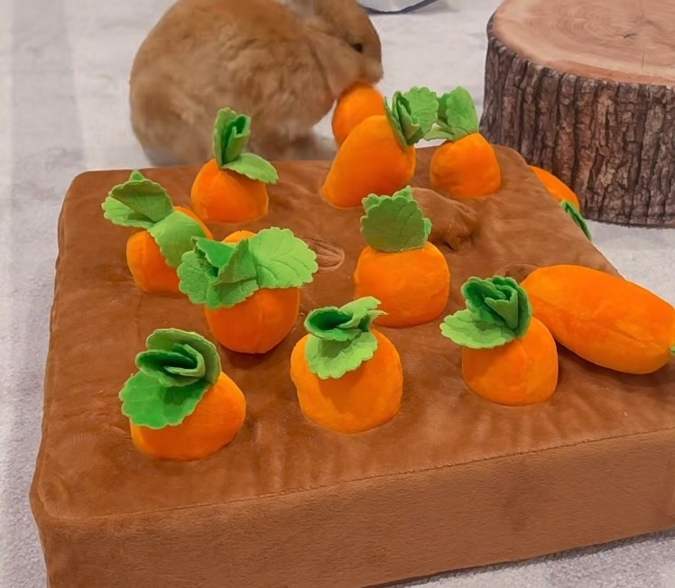 奴才：值得誇獎