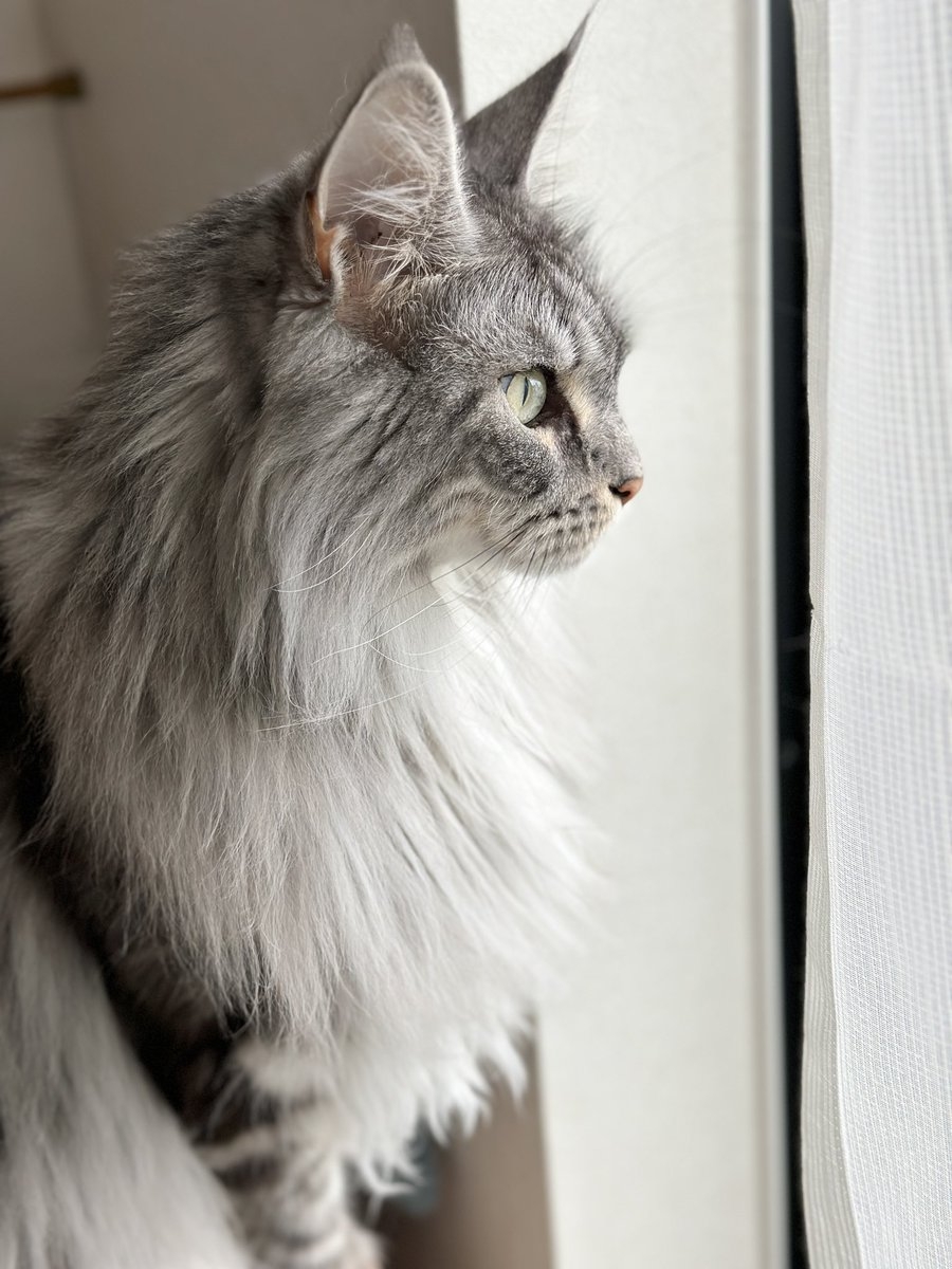 奴才：好啦～別氣了